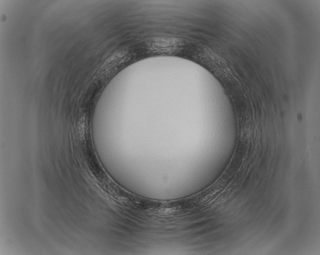 X0000061720647200512231409