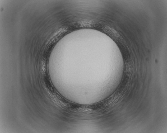 X0000061720648200512231409