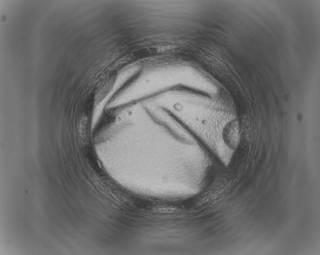 X0000061720650200512231410