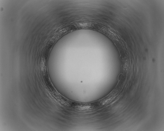 X0000061720651200512231410