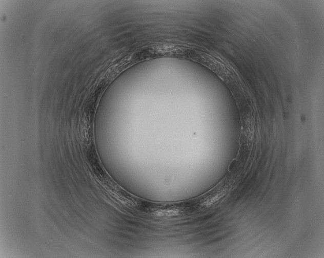 X0000061720653200512231410