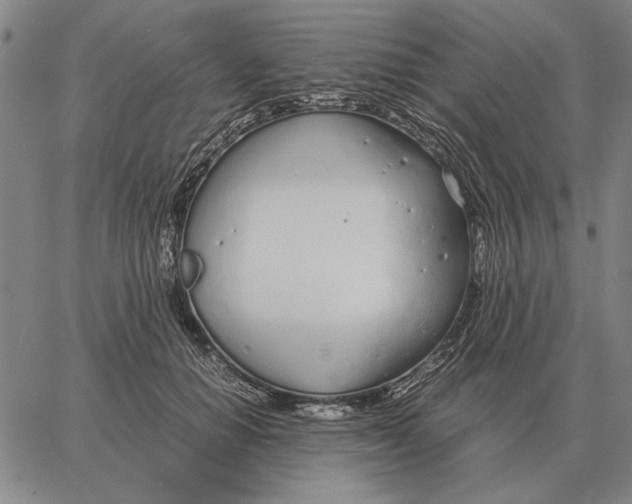 X0000061720654200512231410