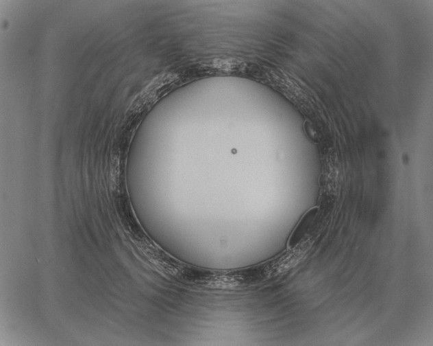 X0000061720656200512231410