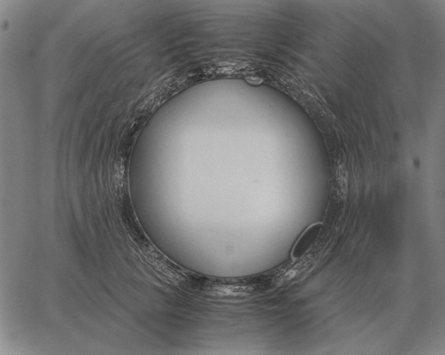 X0000061720657200512231410