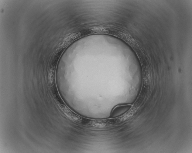 X0000061720658200512231410