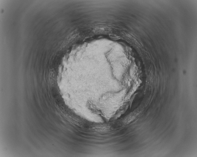 X0000061720659200512231410