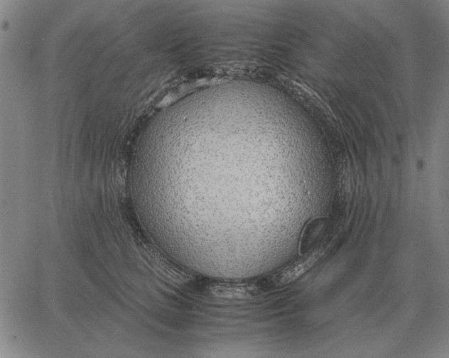 X0000061720661200512231410