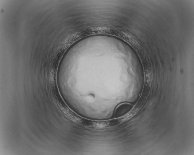 X0000061720662200512231410