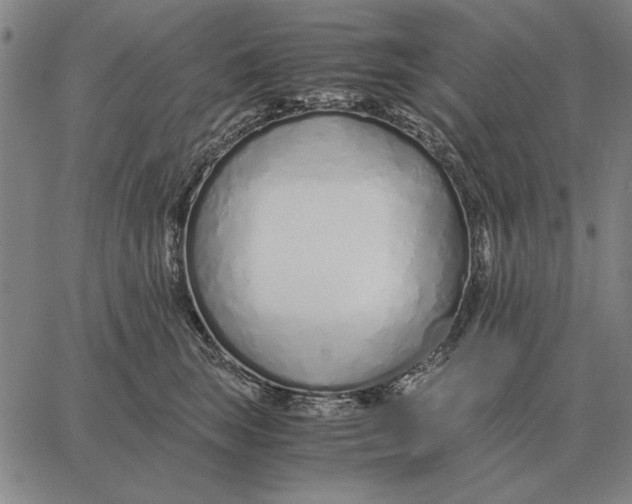 X0000061720663200512231410