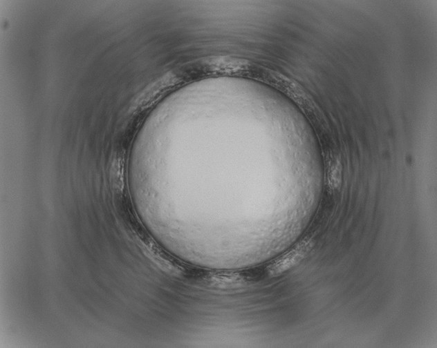 X0000061720666200512231410