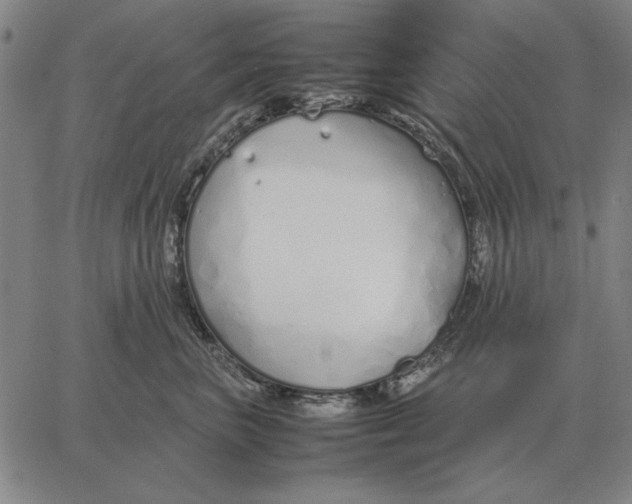 X0000061720667200512231410