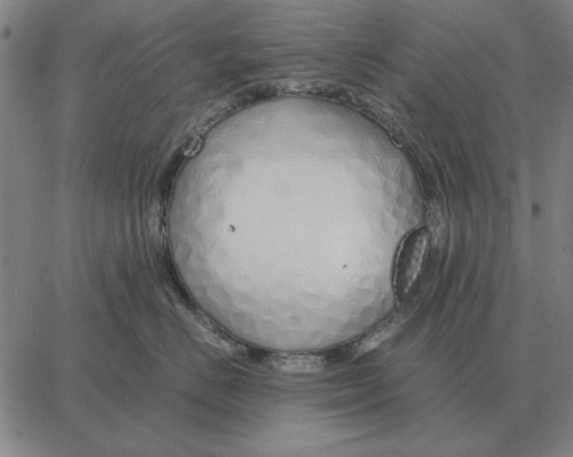 X0000061720670200512231410