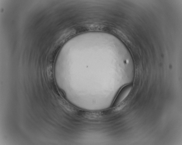 X0000061720671200512231410