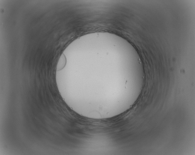 X0000061720672200512231410