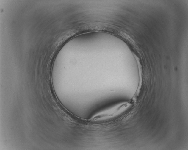 X0000061720673200512231409