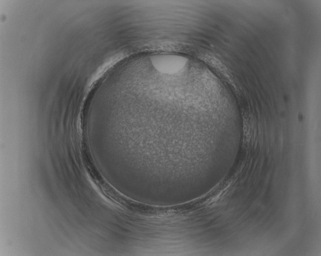 X0000061720674200512231409