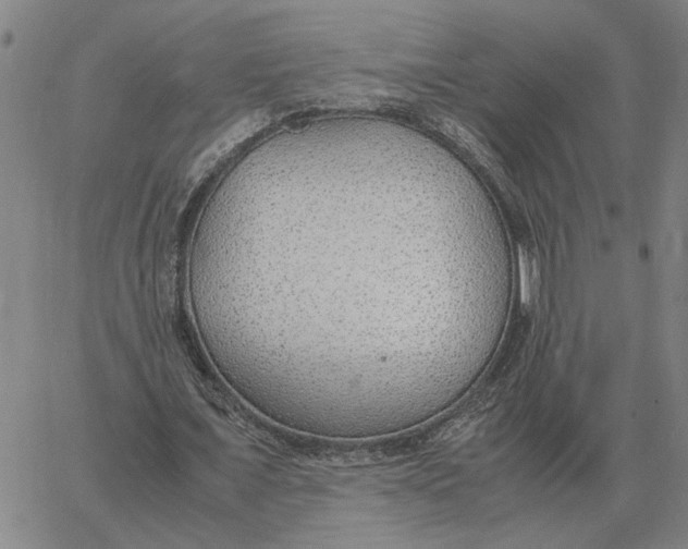 X0000061720675200512231409