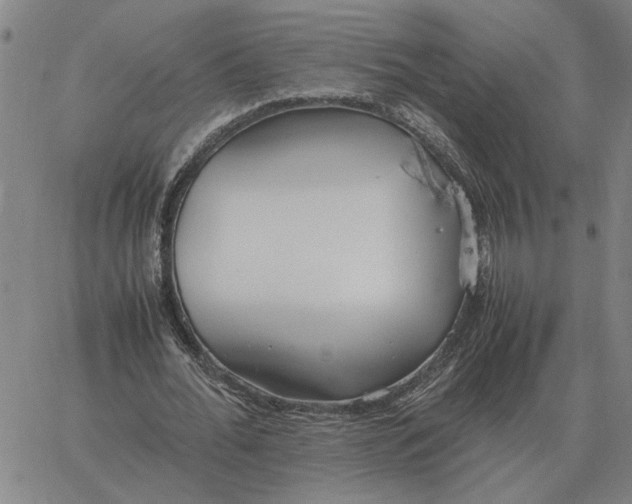 X0000061720676200512231409