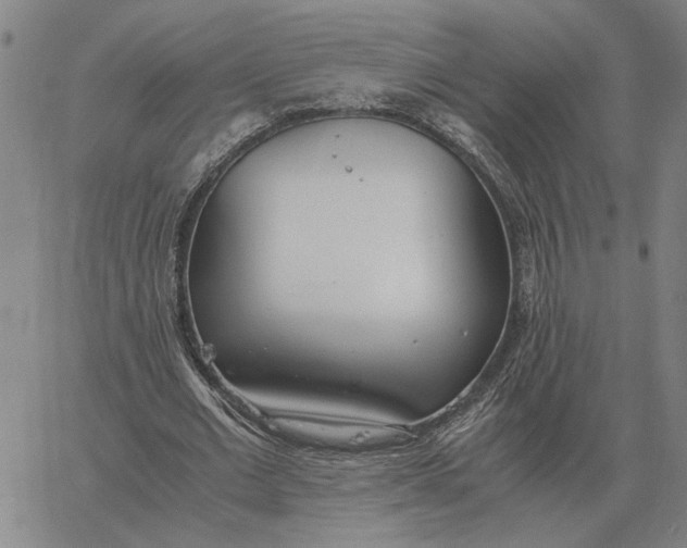 X0000061720677200512231409