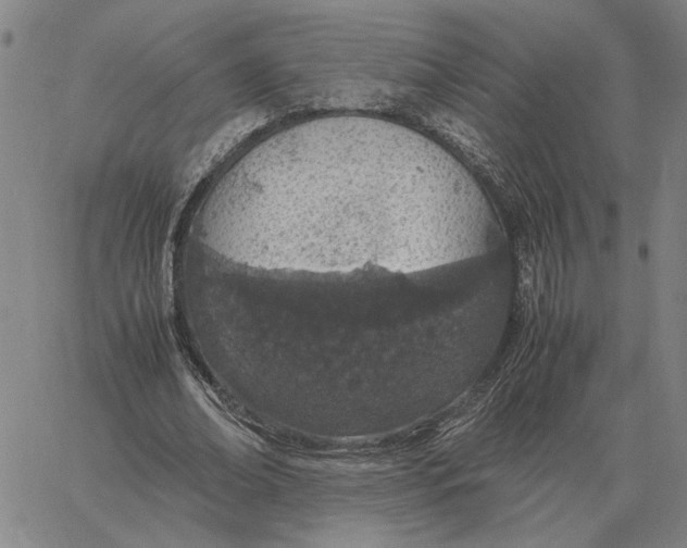 X0000061720678200512231409