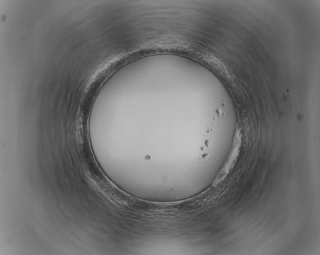 X0000061720680200512231409