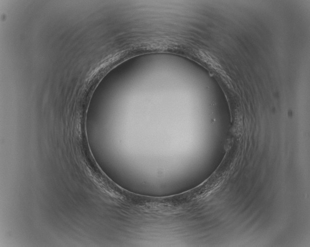 X0000061720681200512231409