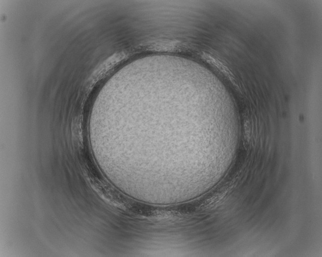 X0000061720682200512231409