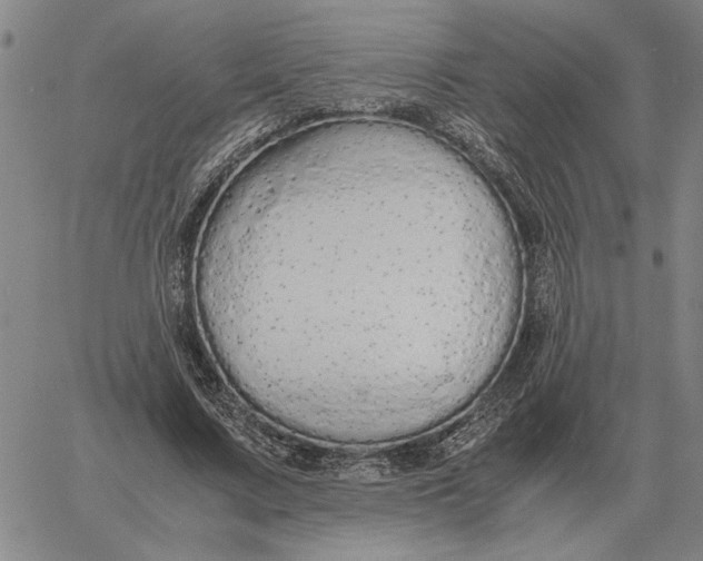 X0000061720683200512231409