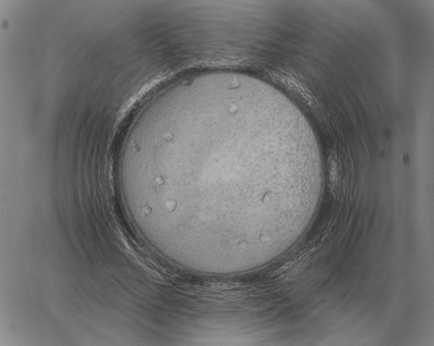 X0000061720684200512231409