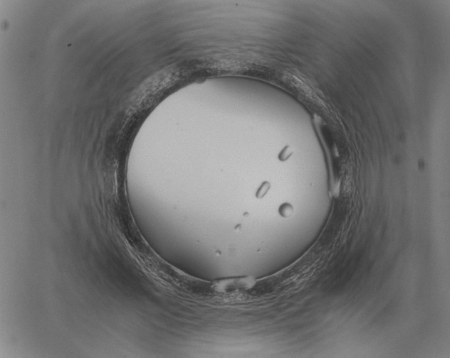 X0000061720685200512231409