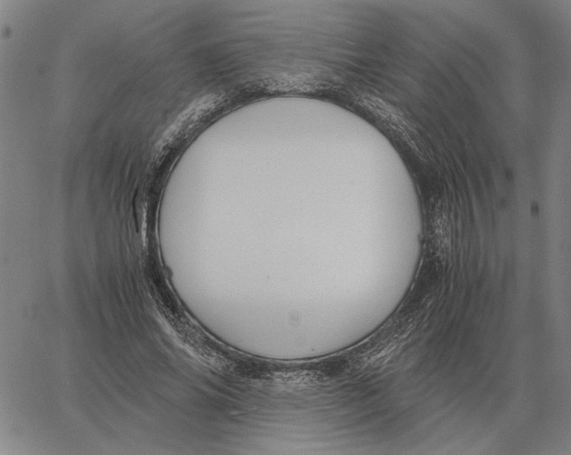 X0000061720686200512231409