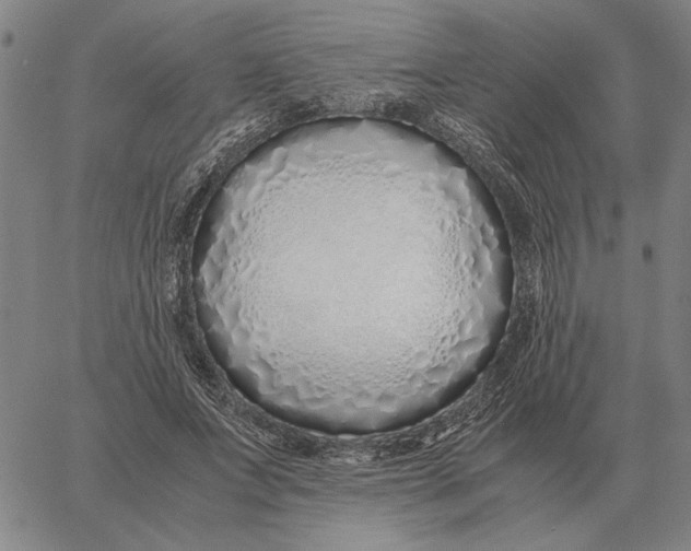 X0000061720687200512231409