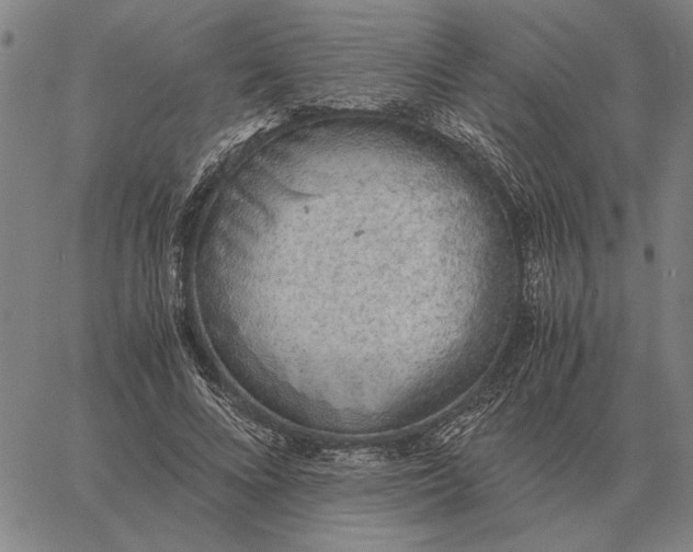 X0000061720688200512231409