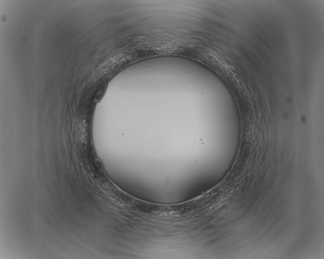 X0000061720689200512231409