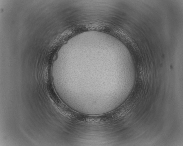 X0000061720690200512231409