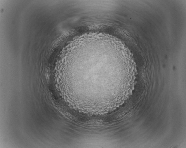 X0000061720691200512231409