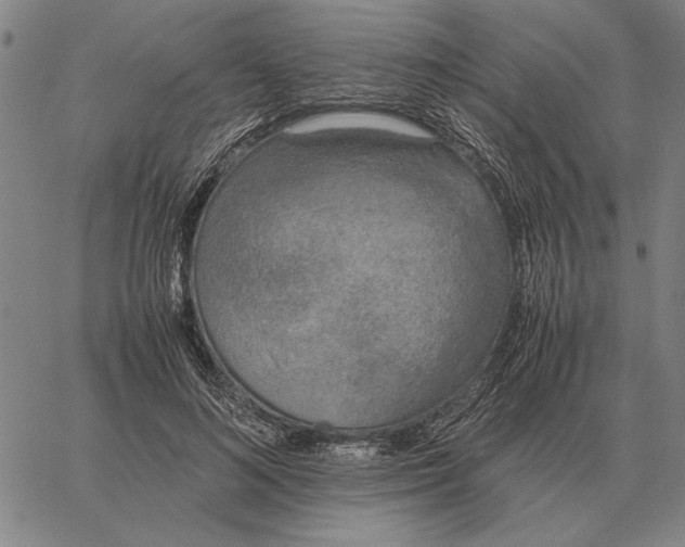 X0000061720692200512231409