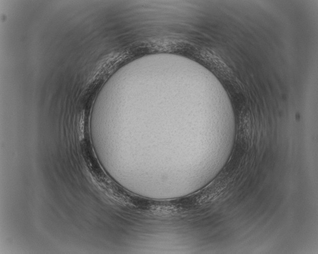 X0000061720694200512231409