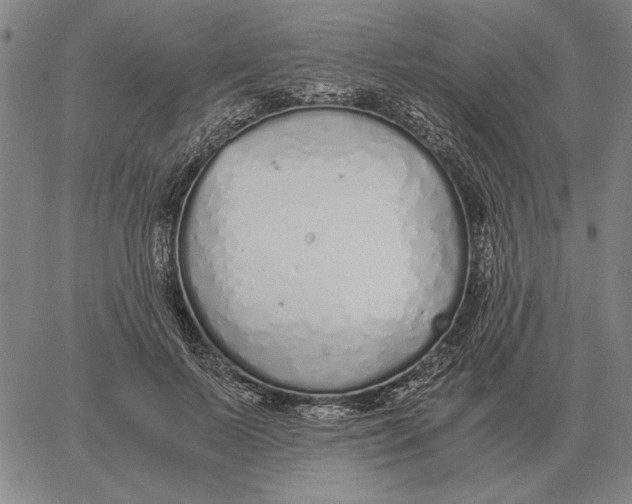 X0000061720695200512231409