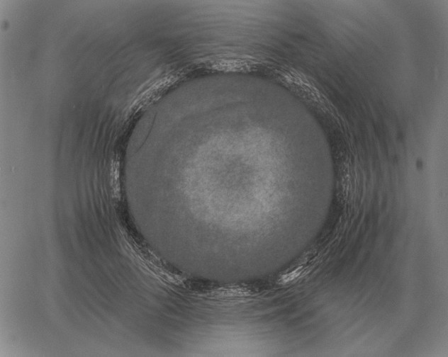 X0000061720696200512231409