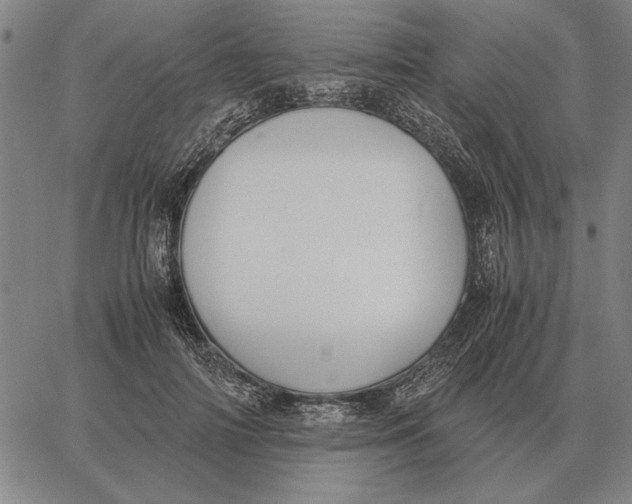 X0000061720698200512231409