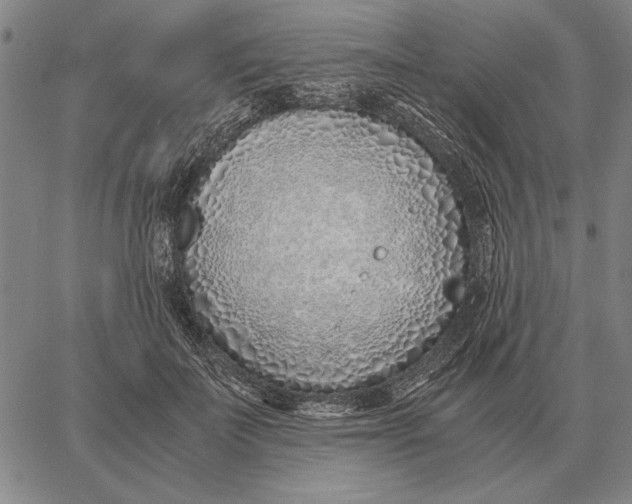 X0000061720699200512231409