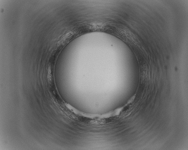 X0000061720700200512231409