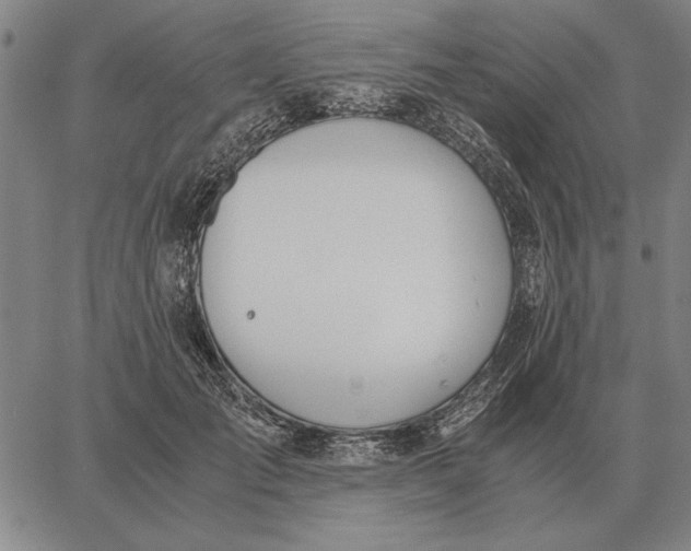 X0000061720701200512231409