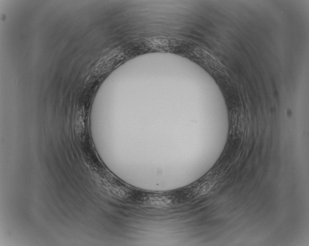 X0000061720702200512231409