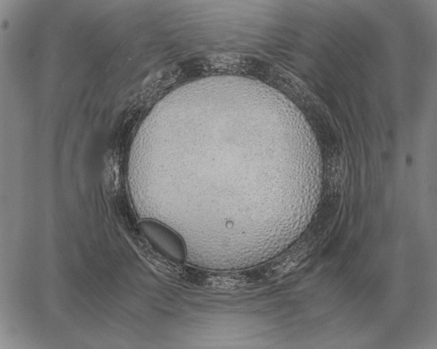 X0000061720703200512231409