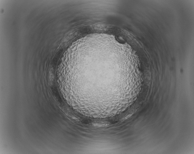 X0000061720707200512231409