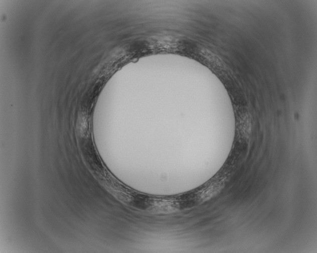 X0000061720709200512231408