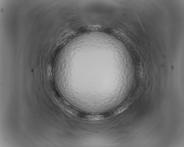 X0000061720711200512231408