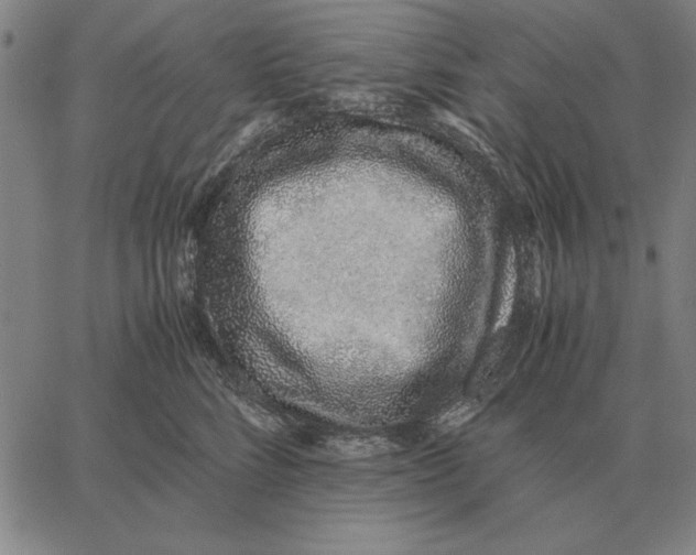 X0000061720712200512231408